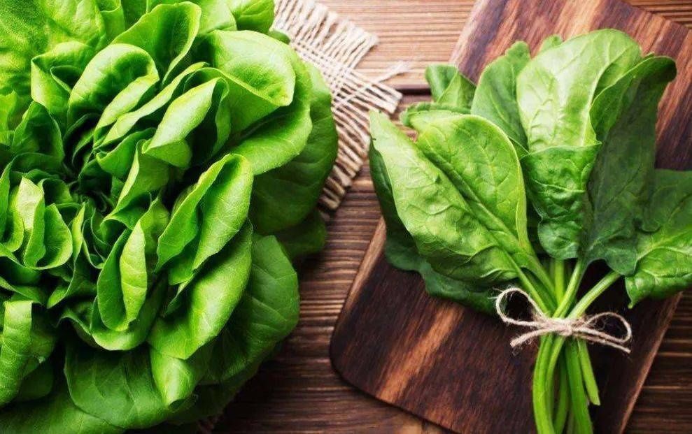 吃菠菜|【养生防疫】大力水手也爱吃的菠菜,口感好营养价值高