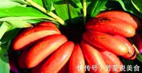 便秘|冬天来了,多吃的食物,排出毒素,延缓衰老,改善便秘