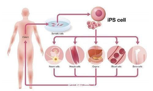 慢性疾病|60~69是长寿的“关键期”，记好这“5防”，其实长寿并不难