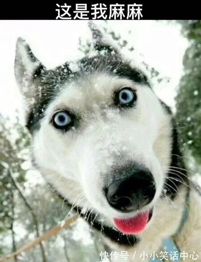 |今日笑话:关于前任,男生和女生不同看法