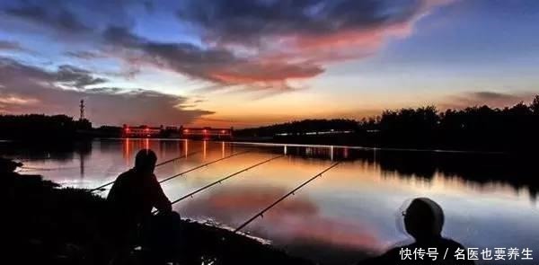 夜钓鲤鱼,这些注意事项能到位,想要空竿都难