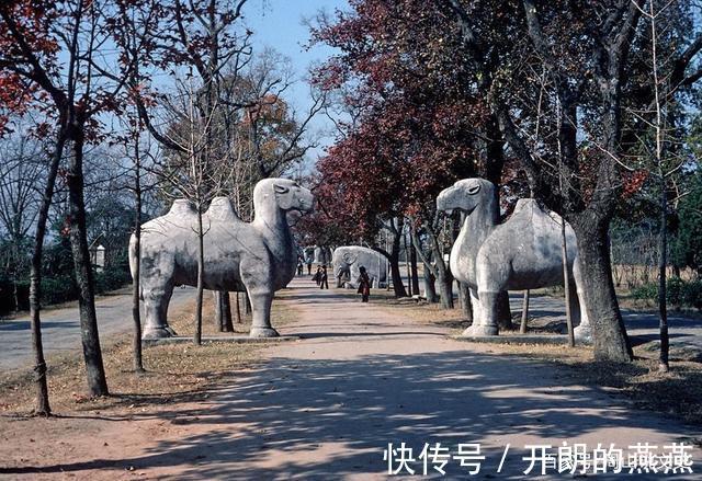 老照片|一组70年代老照片，大部分都没有见过