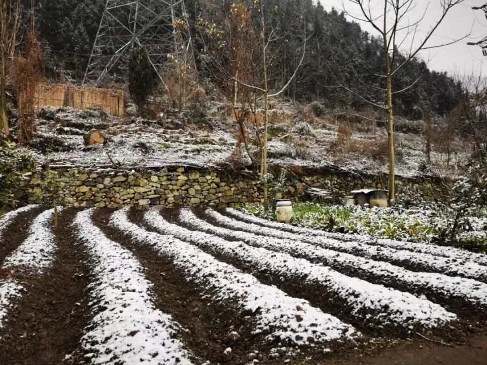 实拍！2021汶川第一场雪，来来来啦！