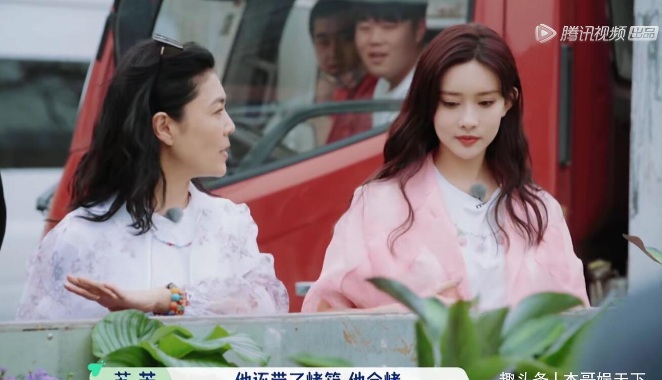 礼物 《桃花坞》汪苏泷的礼物太尴尬,舒淇的礼物成焦点,太壕了