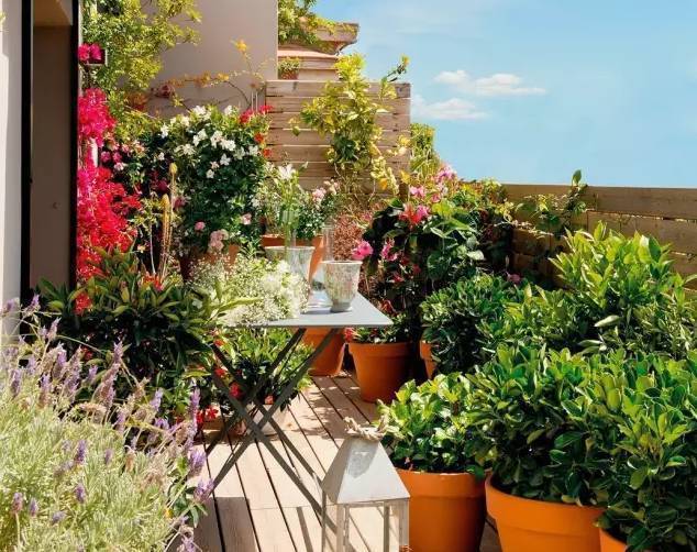 阳台|等有钱买房了,几万一平的阳台绝不晒衣服,打造诗和远方不留遗憾