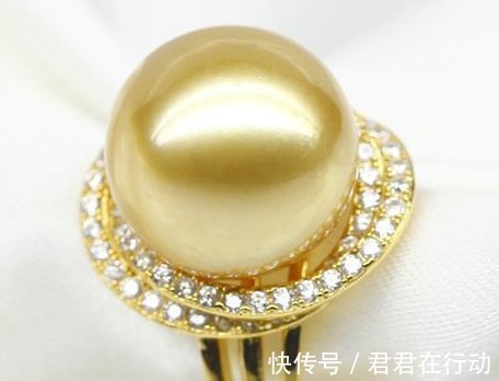 珠母贝 珍珠作为有机宝石,那么你知道该如何分辨海水珍珠和淡水珍珠吗!