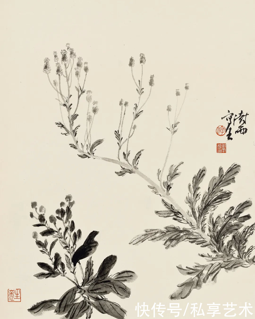 阴澍雨：平和动人的内美丨私享·艺术家