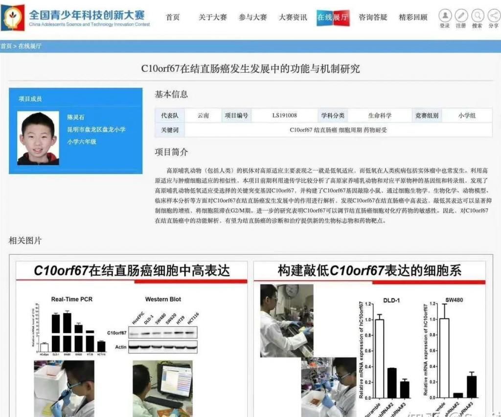 6年级小学生写出晦涩医学论文理科生炸了完全看不懂