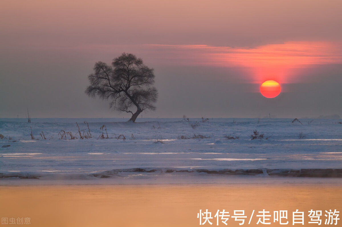 黄山|云上太阳，它总不改变！新年去看中国最美的日出吧，新年新气象