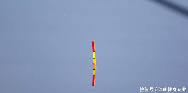 基础|野钓用蚯蚓如何调漂一般思路是基础,还要考虑这2种影响因素