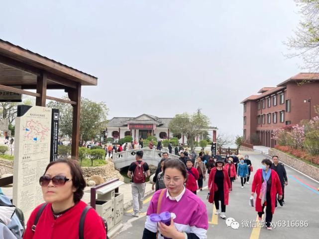 春光明媚，鸡公山风景区喜迎千人团队 踏青赏花 打卡鸡公山