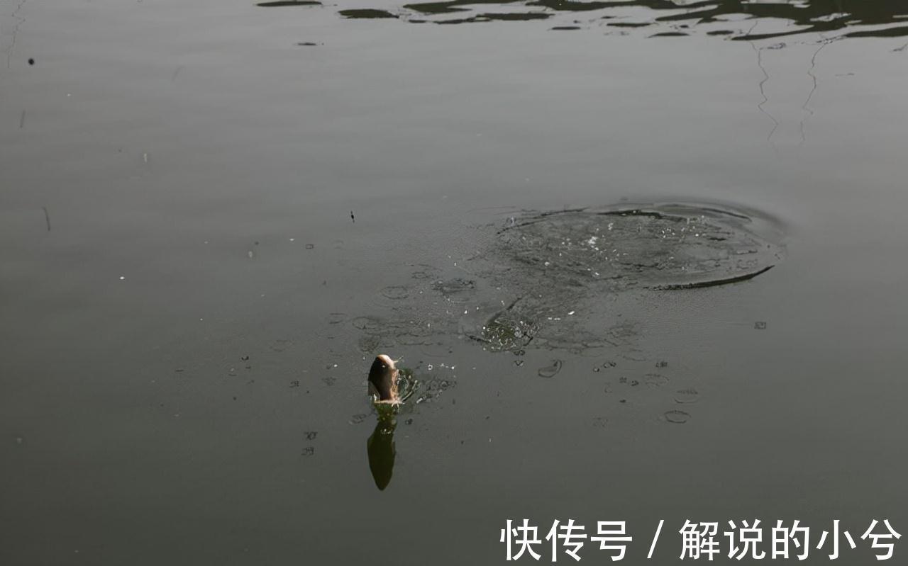 冬季钓鱼,想要有好的鱼获,做到这两点就足够了