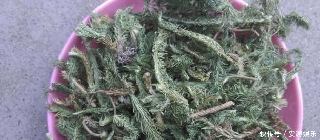 小知识|女人40岁以后,衰老会悄然来临,用三样东西泡水喝,保养不易变老