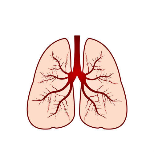 忧郁症|半夜三四点钟容易醒来,或许是这5种毛病的原因,看你有没有