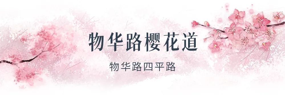 边境|叮咚，你有一份樱花海等待查收