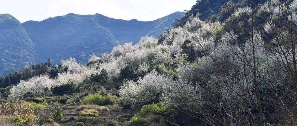 云浮大金山，有个像丹巴一样的地方