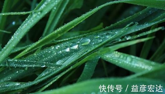 清明&宋词之前最美的一首《蝶恋花》,意境美,韵味足,是词坛千古名篇