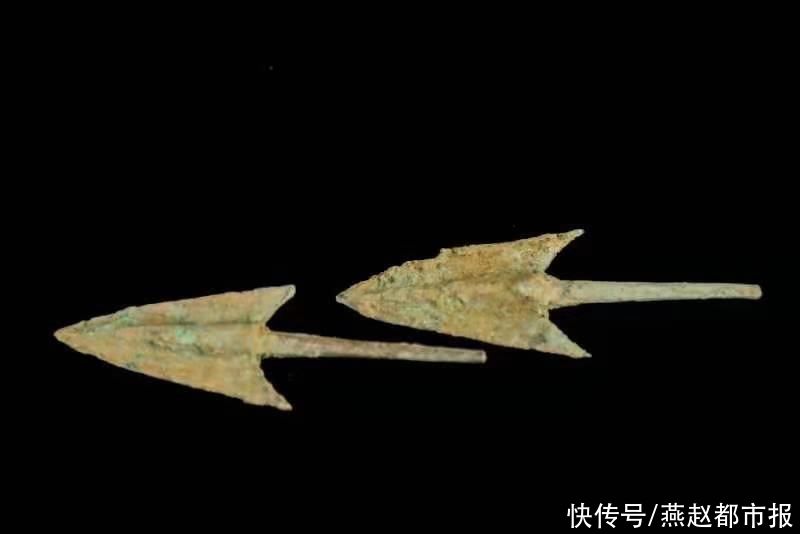 填补空白|填补空白!栾城周家庄发现3000多年前商后期墓地,初步判断为商后期贵族墓葬群