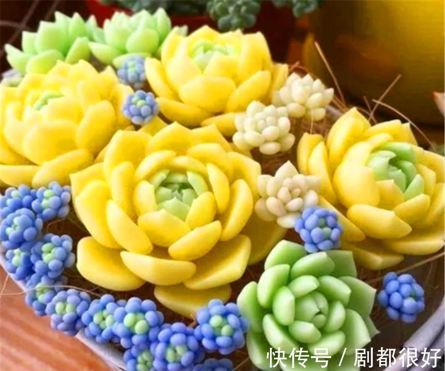 新手|新手夏季养多肉，3件事情最容易做过头，难怪褪色黑腐还落叶