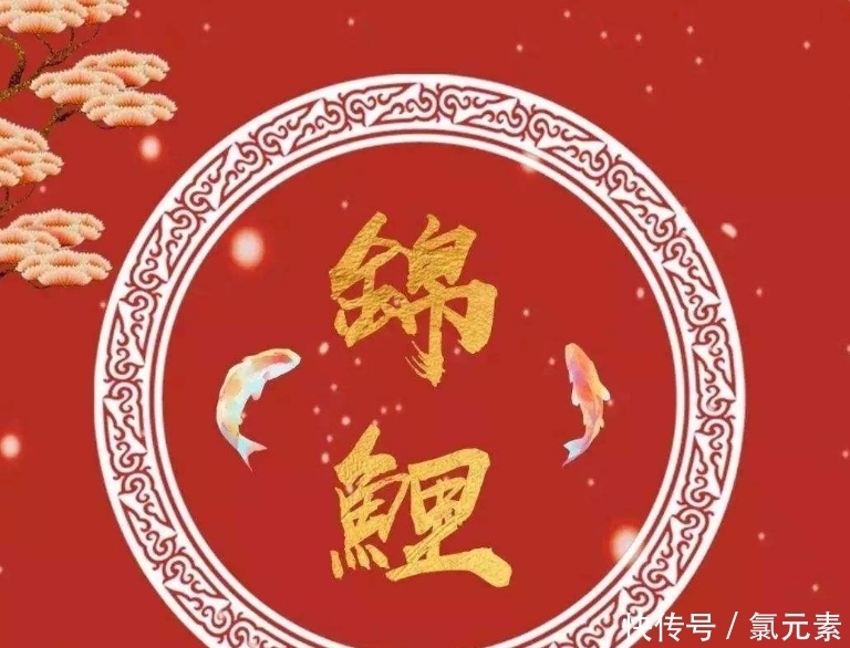 情况|花呗已经借出去3000亿,不还会怎样?这3种情况下,马云替你买单