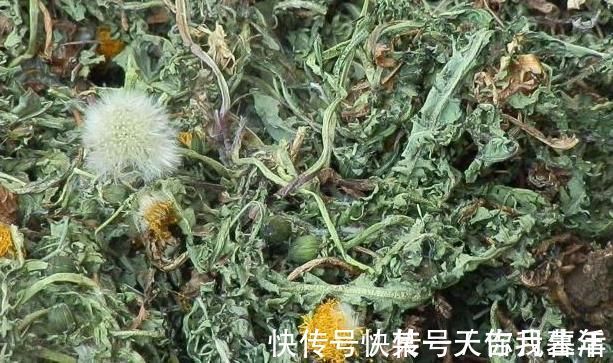 酒精肝|蒲公英加此物一起，坚持一段时间，排出肝脏毒素，便秘消失了！