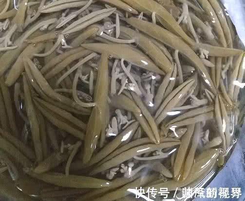 燕窝|燕窝都不如此物,胶原蛋白丰富,1周吃一次,“黄脸婆”拜拜