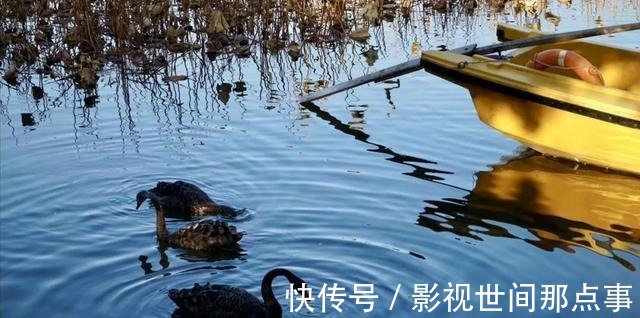 海波|海波随笔｜160年后，走在10月金秋的圆明园！