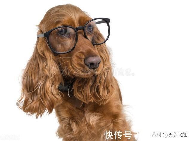 |转发九则2021年笑话,让大家乐一乐,开开心心过新年