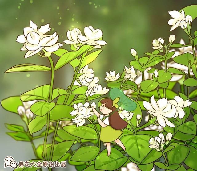 夏天养这花,每月要喂几滴食醋,叶子油绿、开花超多