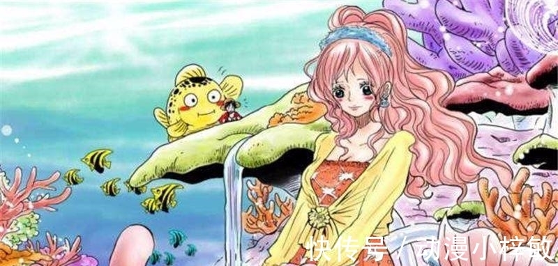 白星公主|海贼王: 如果你被丢到一座孤岛, 这5位美女你带着谁? 有人敢选5?