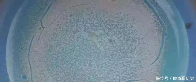 买到假古瓷还在怨天尤人?聪明的藏家早就学会了这些判别方式