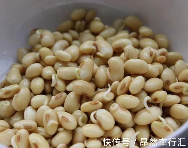 小菜园|养花技巧:一个油桶胜过两花盆,种菜养花好用又省钱!