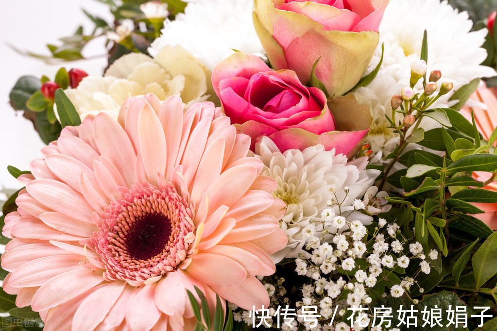 木犀草|在一起会“打架”的花，不是你死我活，就是两败俱伤，需要分开养