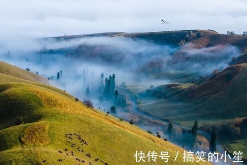 梦境|中国最美旅游公路，叫独库，那是旅游梦境啊！