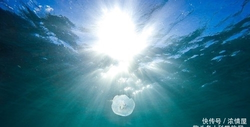 光速恒定不变,可她为何能将光速降为0,光速