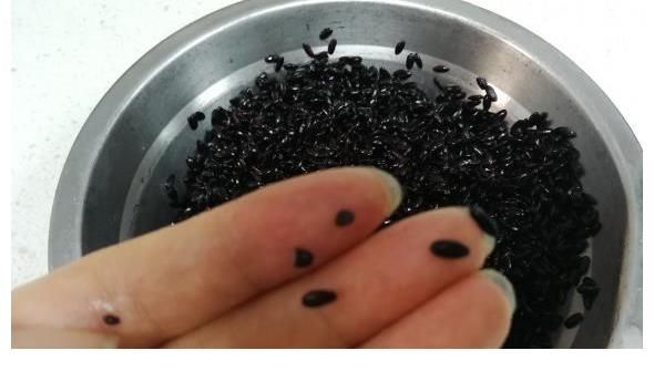 玉米碴子|5杯牛奶都不如它！一煮一卷就搞定，建议常给孩子做这道早餐，香