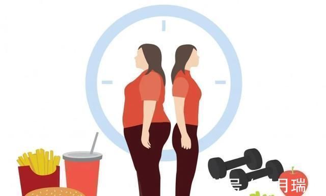 外科医生|新陈代谢如何工作,为什么我们不能加快减肥速度呢