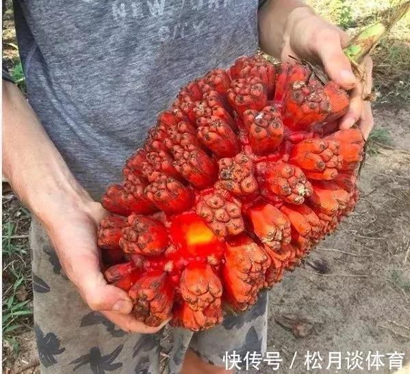 水果|只吃水果,你能坚持多久?一对情侣坚持了3年,还生了娃