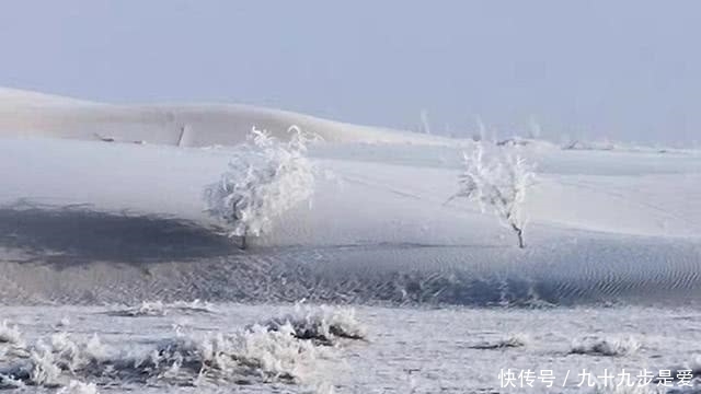  腾格里|太惊艳了！腾格里大漠竟有如此美丽，让人如何不想她！