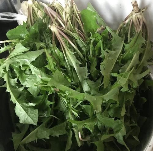  体内湿气重，不妨试试这几样食物，轻松“赶走”体内湿气一身轻