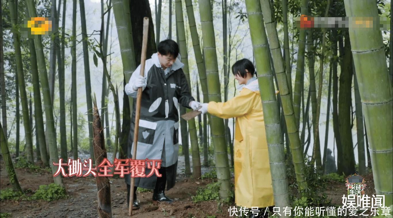 锯子|《向往5》黄磊智商下线,接连抱怨农具不给力,弹幕揭开了真相