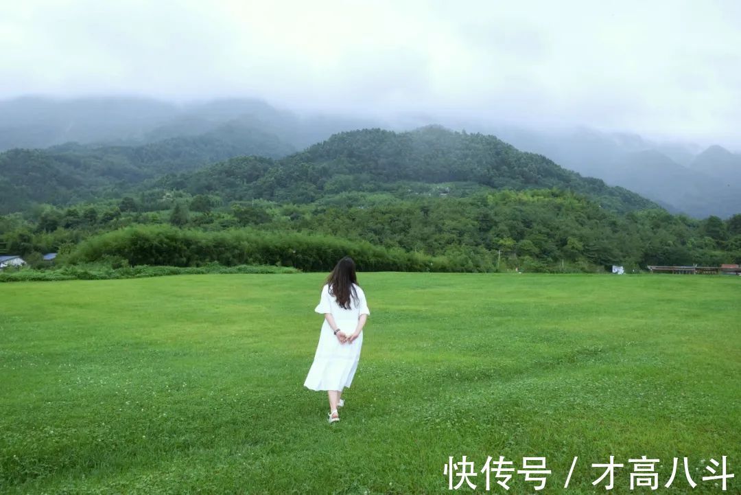 情绪&净化自己(深度好文)