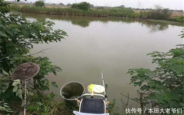 惊蛰到清明，这几种天气鲫鱼最好钓，随便钓，大鲫鱼也能连竿上
