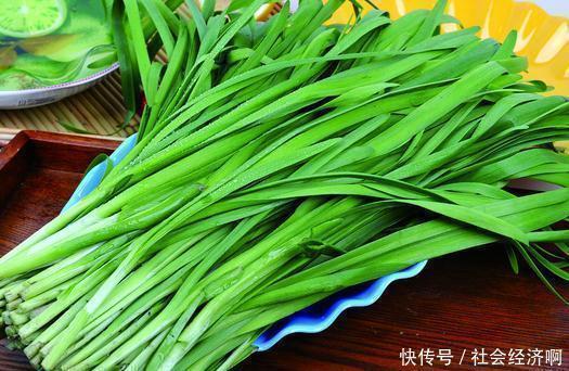 本草品汇精要|喜欢吃韭菜的人要注意韭菜有2大禁忌,现在清楚还不晚