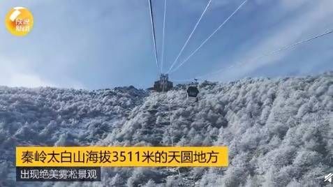 雾凇|秦岭太白山雪后雾凇美景好像童话世界 穿好棉衣出去玩吧！