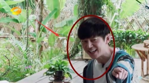 黃磊做面,看清用啥攪拌的,連張子楓都懵了,再有食欲也不敢吃了