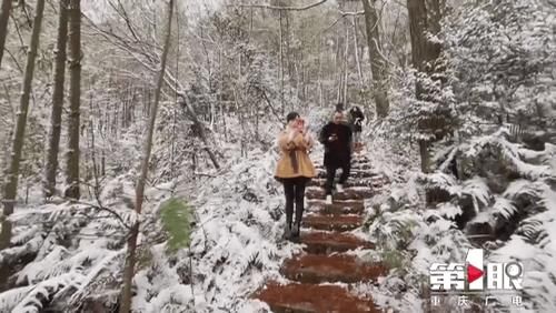 下雪|万州下雪了！上山赏雪正当时