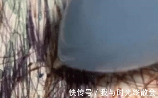 美术生们#美术生用圆珠笔一通乱画,看到最后成品,网友大佬都是乱中有型!