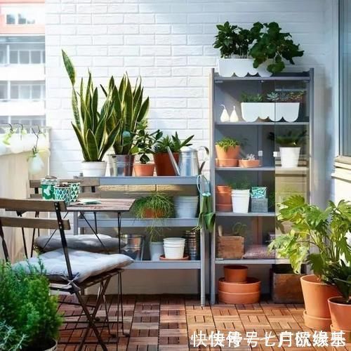 花盆|这样的阳台,那院子我也不换,美得太过分,今生只做个闲人了!