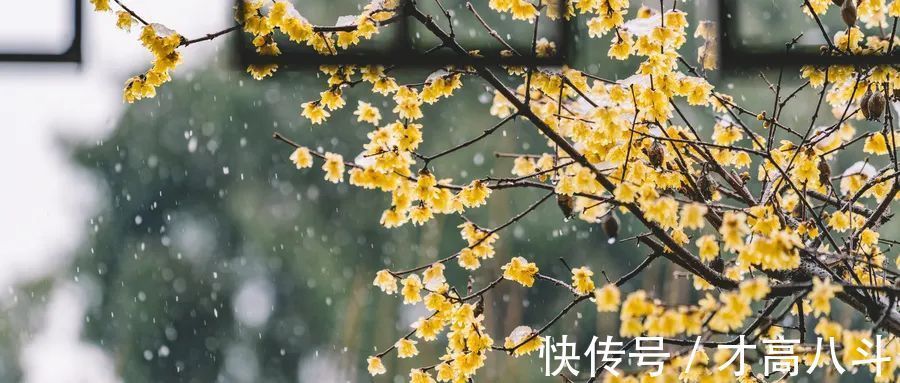 夏日登车盖亭@40句惊为天人的诗词,哪一句是你的最爱?